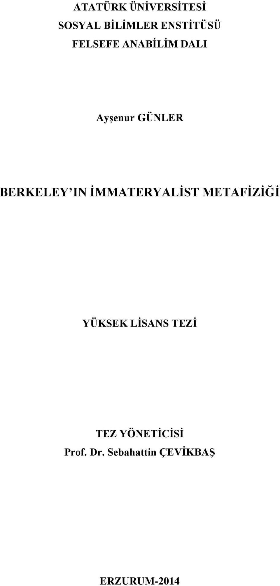 İMMATERYALİST METAFİZİĞİ YÜKSEK LİSANS TEZİ TEZ