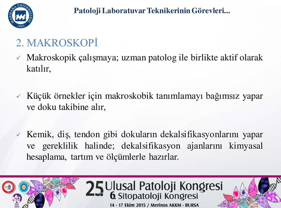 örnekler için makroskobik tanımlamayı bağımsız yapar ve doku takibine alır, Kemik, diş, tendon