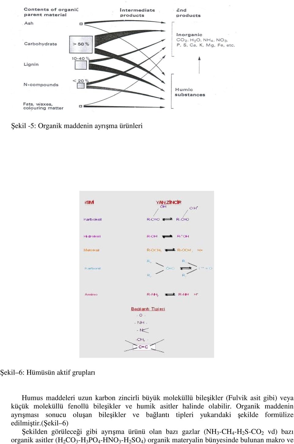 Organik maddenin ayrıması sonucu oluan bileikler ve balantı tipleri yukarıdaki ekilde formülize edilmitir.