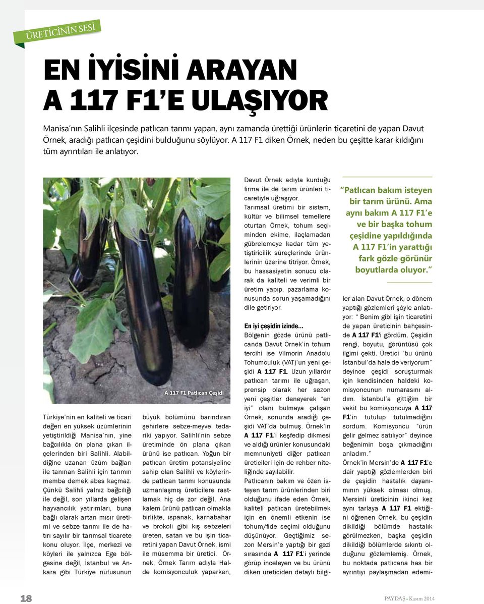 Türkiye nin en kaliteli ve ticari değeri en yüksek üzümlerinin yetiştirildiği Manisa nın, yine bağcılıkla ön plana çıkan ilçelerinden biri Salihli.