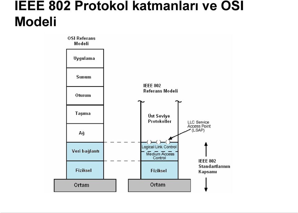 katmanları