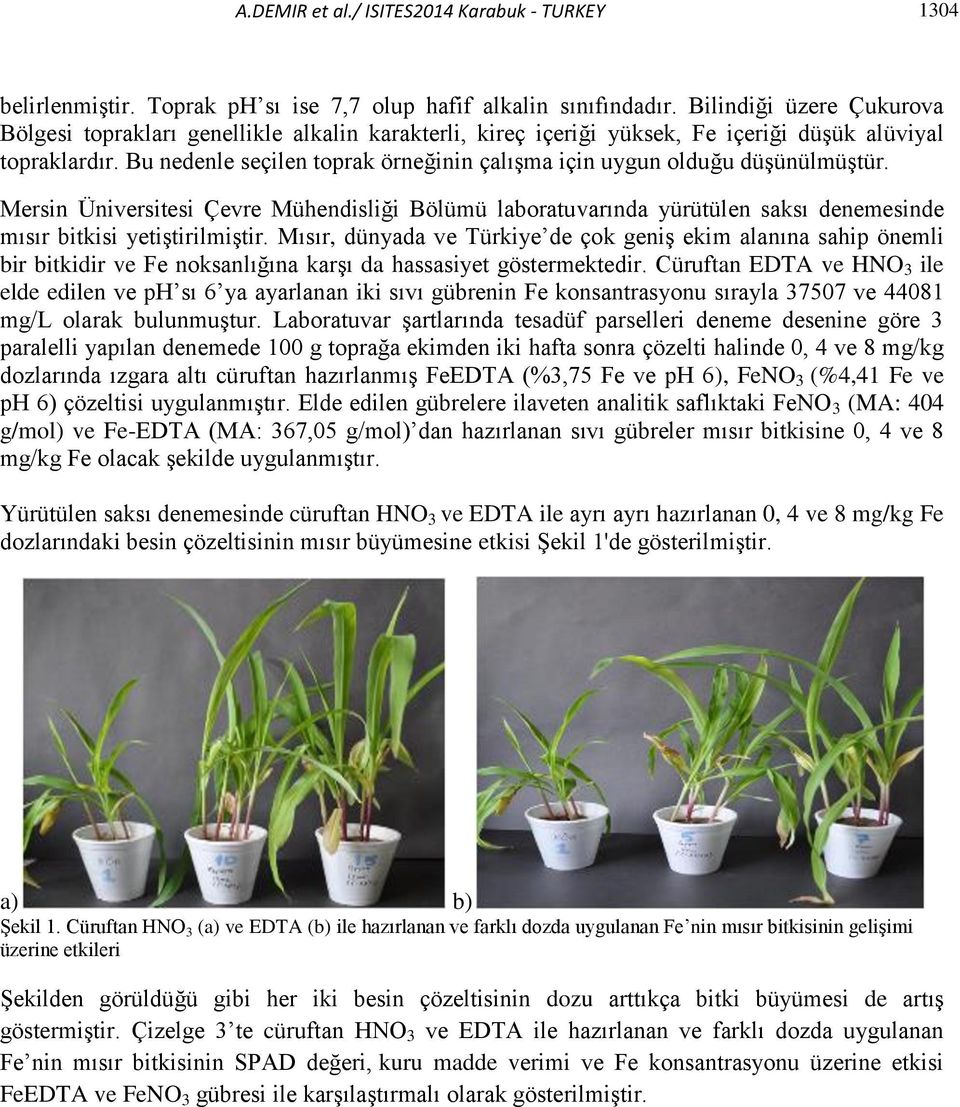 Bu nedenle seçilen toprak örneğinin çalışma için uygun olduğu düşünülmüştür. Mersin Üniversitesi Çevre Mühendisliği Bölümü laboratuvarında yürütülen saksı denemesinde mısır bitkisi yetiştirilmiştir.