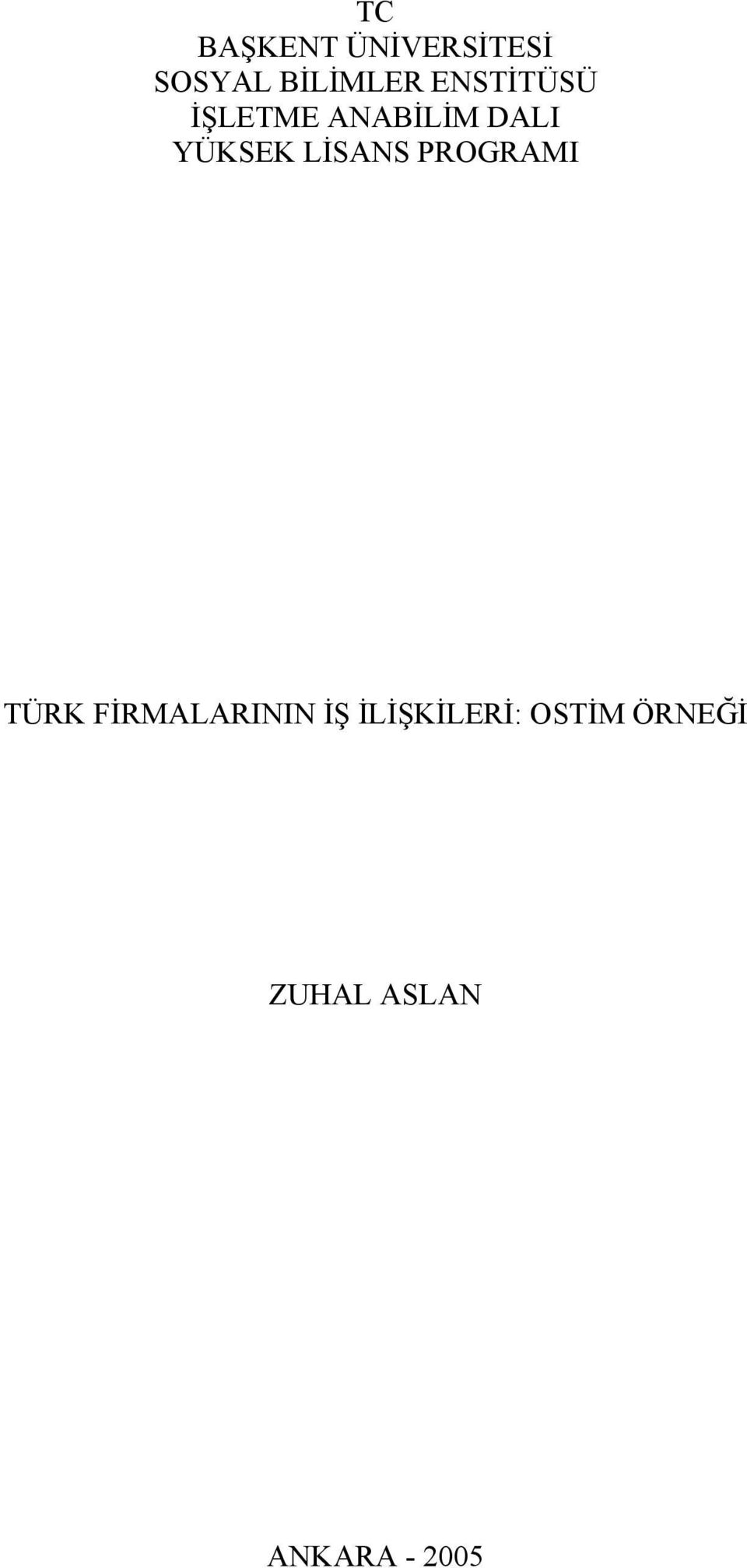 LİSANS PROGRAMI TÜRK FİRMALARININ İŞ