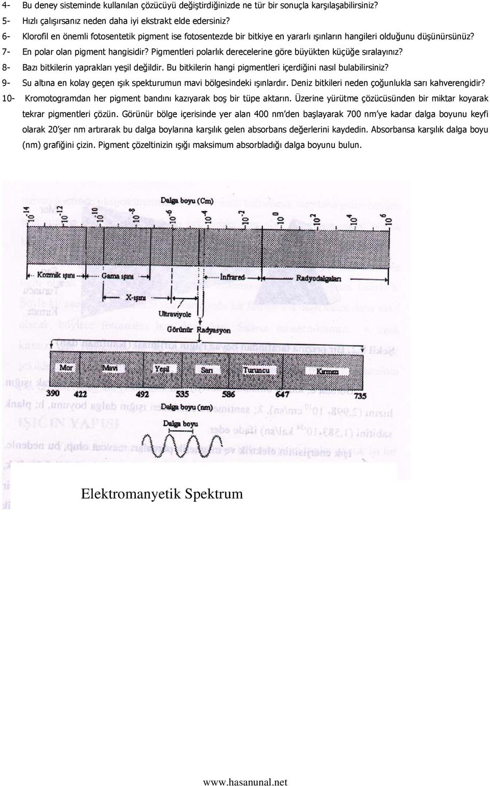 Pigmentleri polarlık derecelerine göre büyükten küçüğe sıralayınız? 8- Bazı bitkilerin yaprakları yeşil değildir. Bu bitkilerin hangi pigmentleri içerdiğini nasıl bulabilirsiniz?