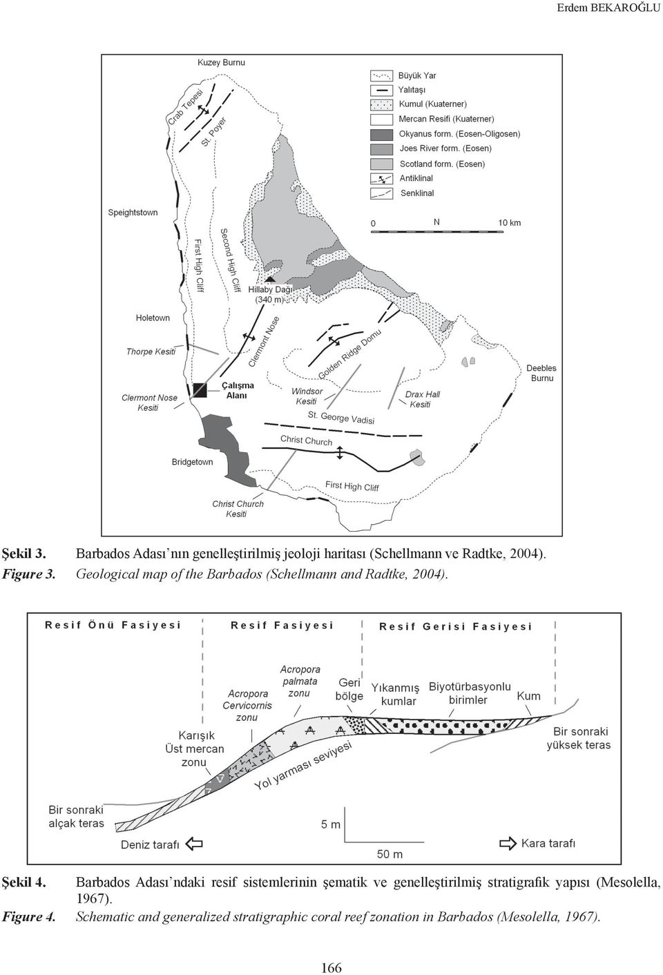 Geological map of the Barbados (Schellmann and Radtke, 2004). Şekil 4.