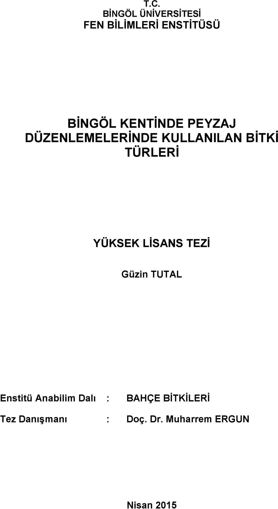 YÜKSEK LİSANS TEZİ Güzin TUTAL Enstitü Anabilim Dalı :