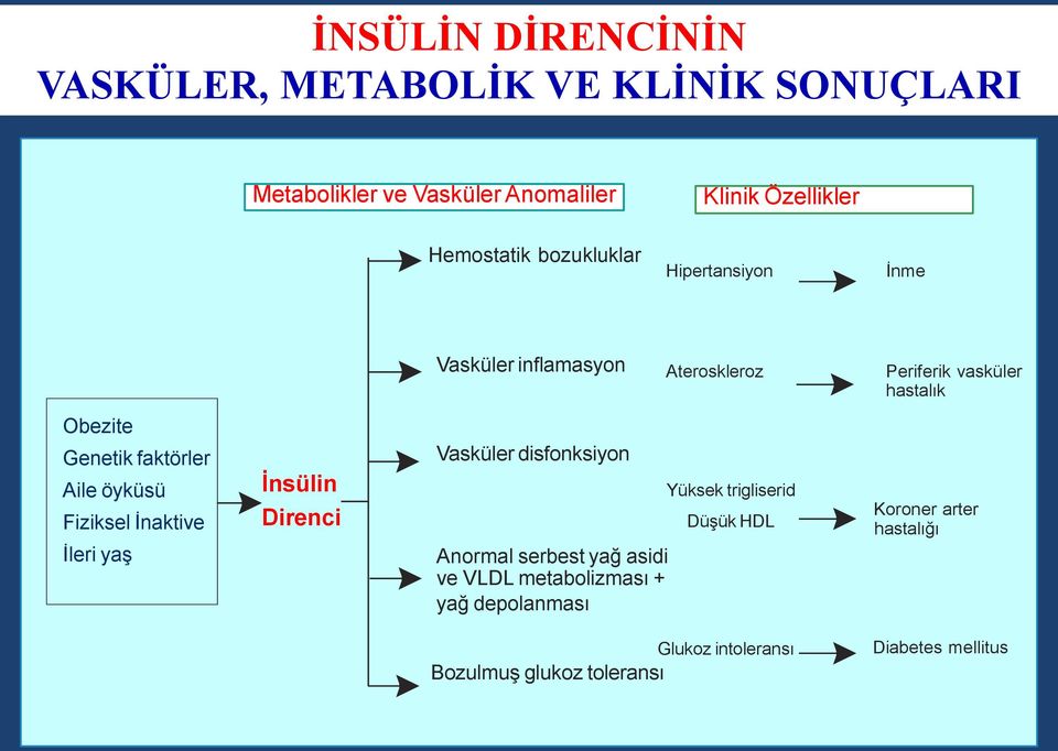 öyküsü Fiziksel İnaktive İleri yaş İnsülin Direnci Vasküler disfonksiyon Anormal serbest yağ asidi ve VLDL metabolizması +