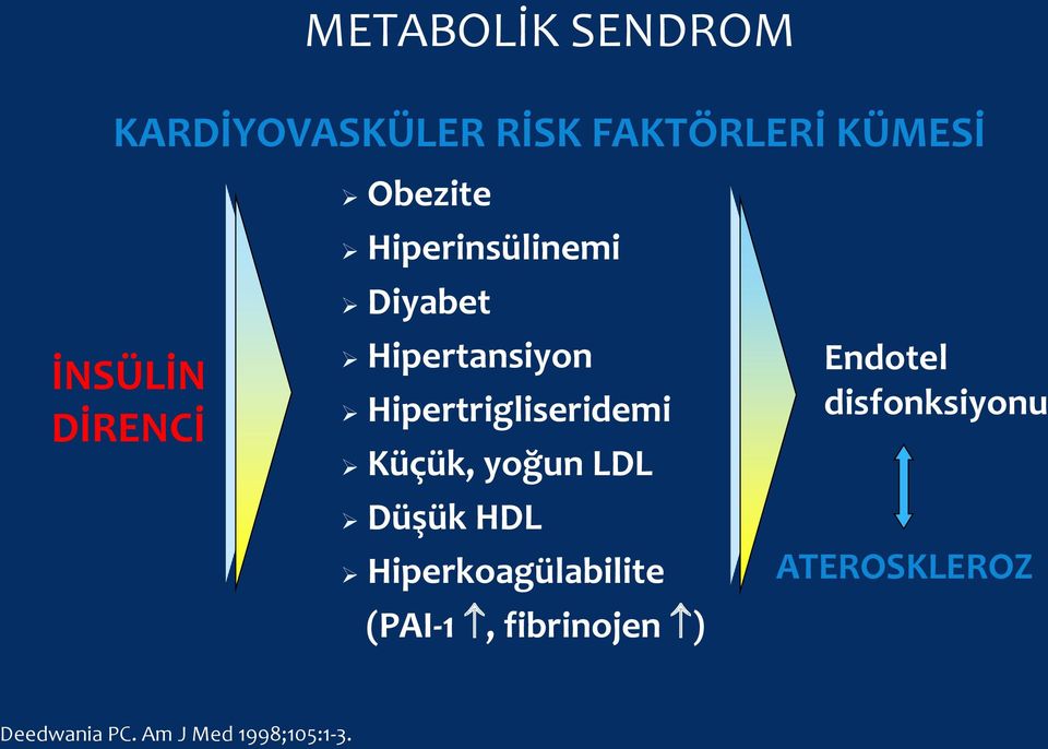 Hipertrigliseridemi Küçük, yoğun LDL Düşük HDL Hiperkoagülabilite