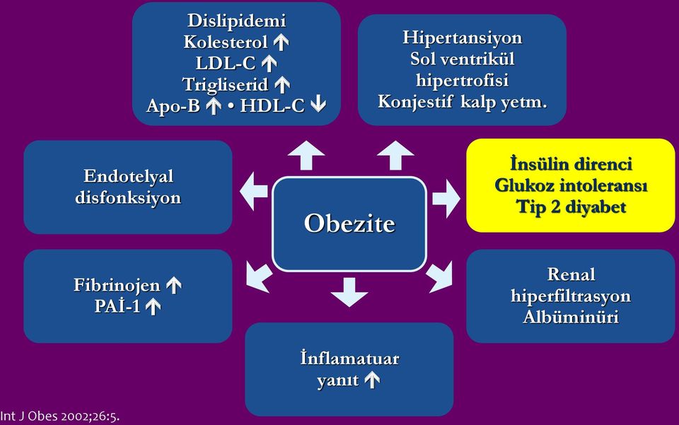 Endotelyal disfonksiyon Fibrinojen PAİ-1 Obezite İnflamatuar yanıt