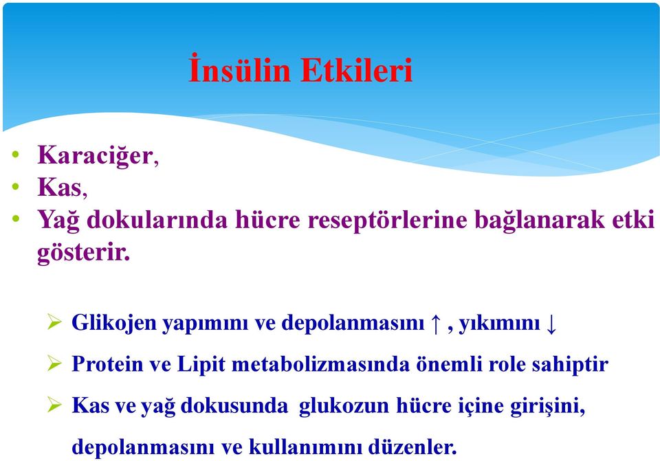 Glikojen yapımını ve depolanmasını, yıkımını Protein ve Lipit