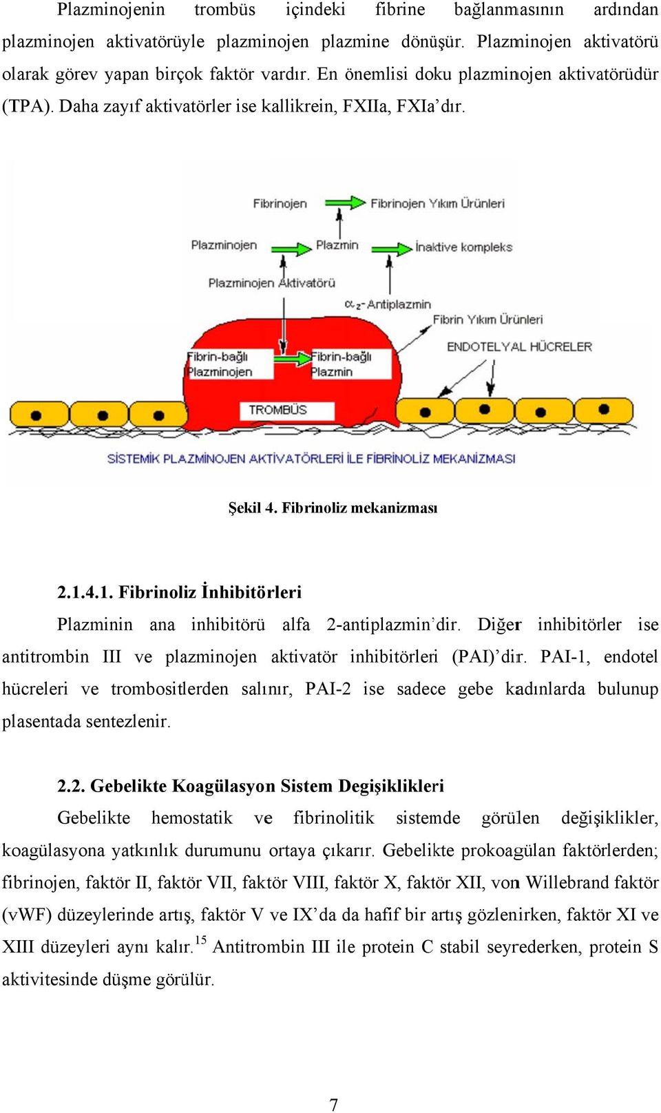 Fibrinoliz İnhibitörleri Plazminin ana inhibitörü alfa 2-antiplazmin dir. Diğerr inhibitörler ise antitrombin III ve plazminojen aktivatör inhibitörleri (PAI) dir.