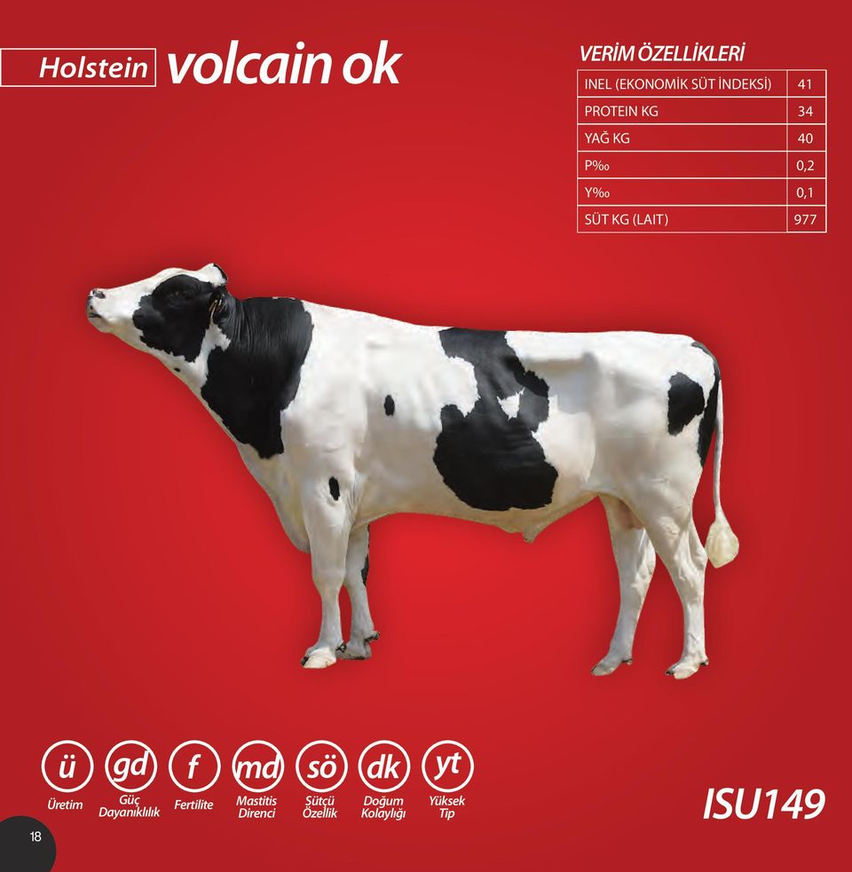 KG (LAIT) 977 18 Üretim Güç Dayanıklılık Fertilite