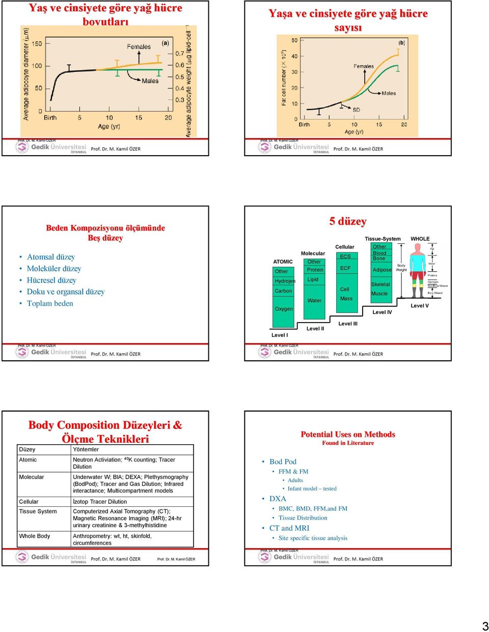 Level II Level III Body Composition Düzeyleri & Ölçme Teknikleri Düzey Atomic Molecular Cellular Tissue System Whole Body Yöntemler Neutron Activiation; 40 K counting; Tracer Dilution Underwater W;