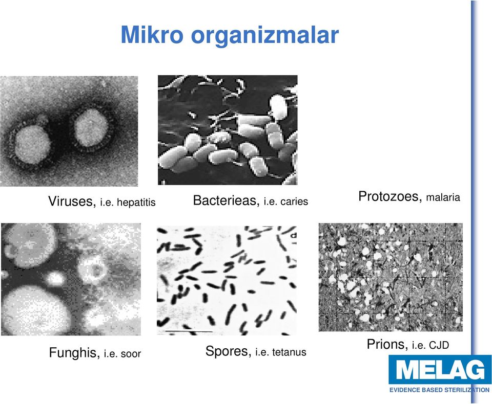 hepatitis Bacterieas caries