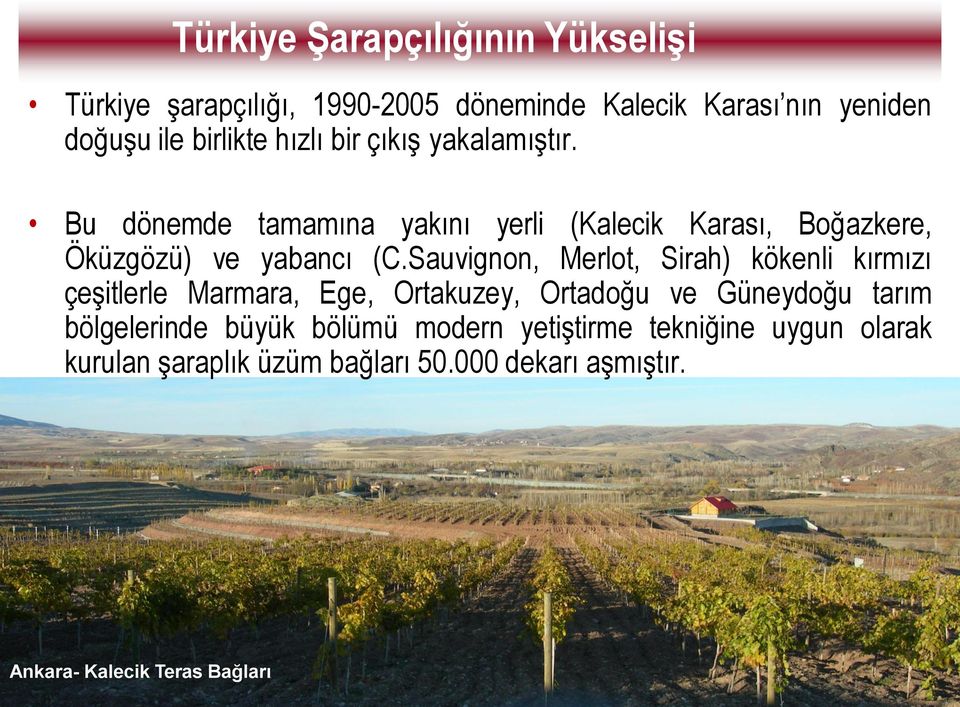 Sauvignon, Merlot, Sirah) kökenli kırmızı çeģitlerle Marmara, Ege, Ortakuzey, Ortadoğu ve Güneydoğu tarım bölgelerinde