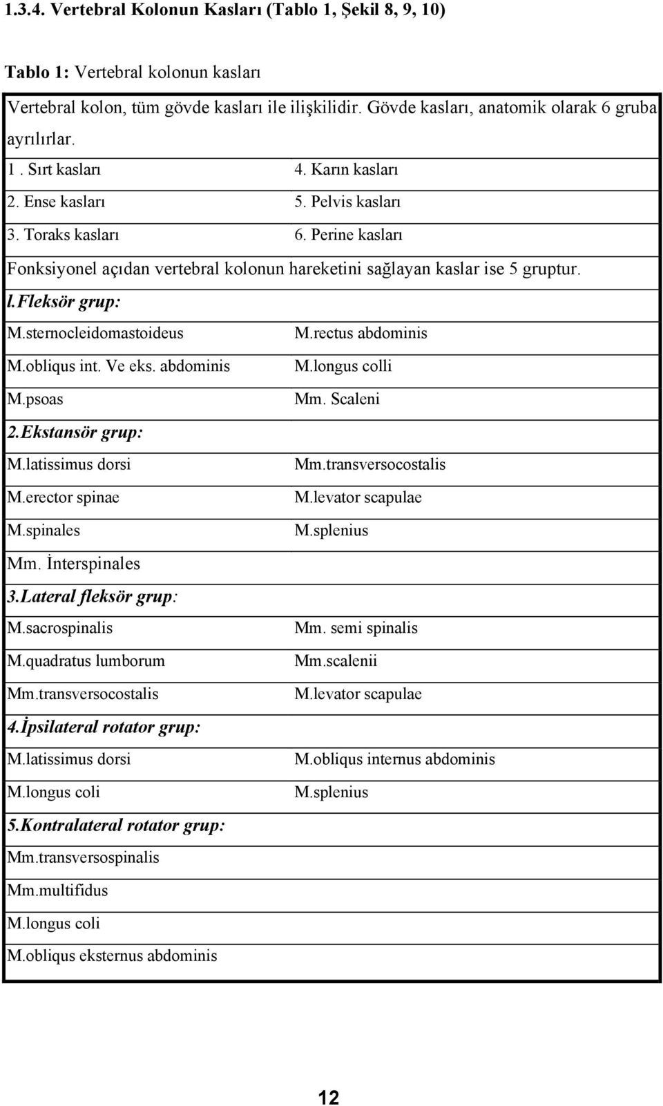 sternocleidomastoideus M.rectus abdominis M.obliqus int. Ve eks. abdominis M.psoas 2.Ekstansör grup: M.latissimus dorsi M.erector spinae M.spinales Mm. İnterspinales 3.Lateral fleksör grup: M.