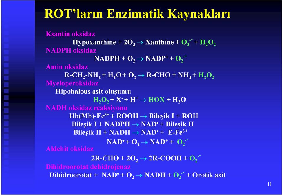 NADH oksidaz reaksiyonu Hb(Mb)-Fe 3+ + ROOH Bileşik I + ROH Bileşik I + NADPH NAD + Bileşik II Bileşik II + NADH NAD + E-Fe 3+ NAD + O 2