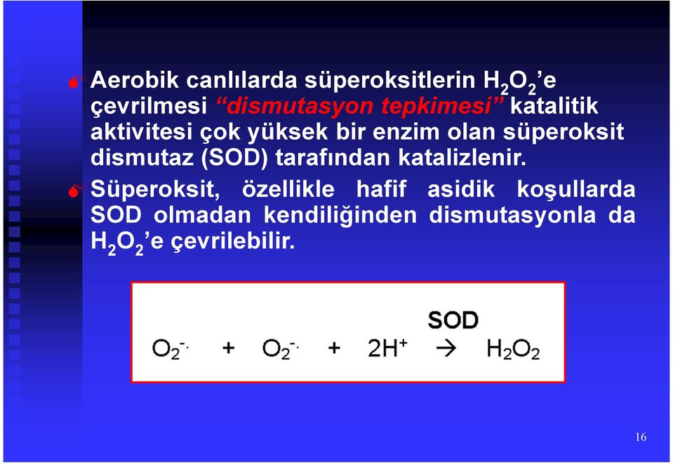 dismutaz (SOD) tarafından katalizlenir.