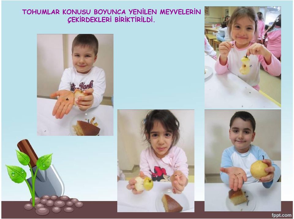 MEYVELERİN