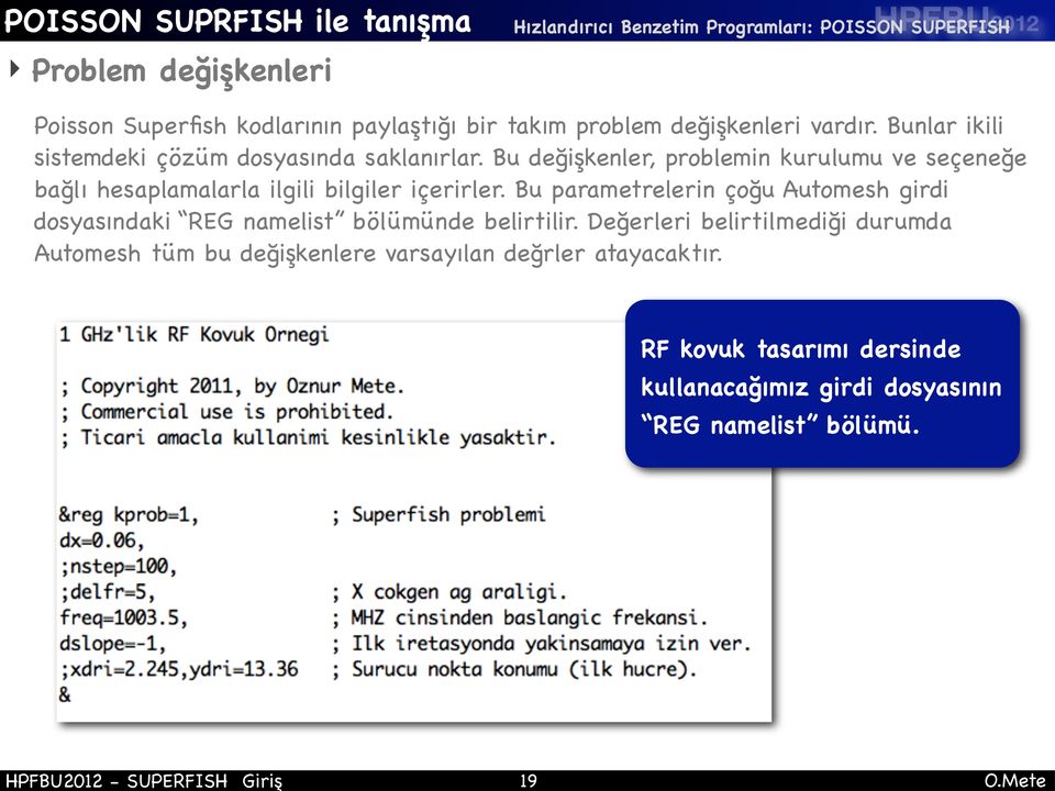 Bu değişkenler, problemin kurulumu ve seçeneğe bağlı hesaplamalarla ilgili bilgiler içerirler.