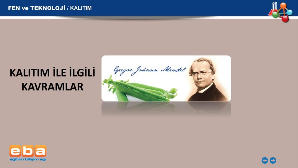 İLGİLİ