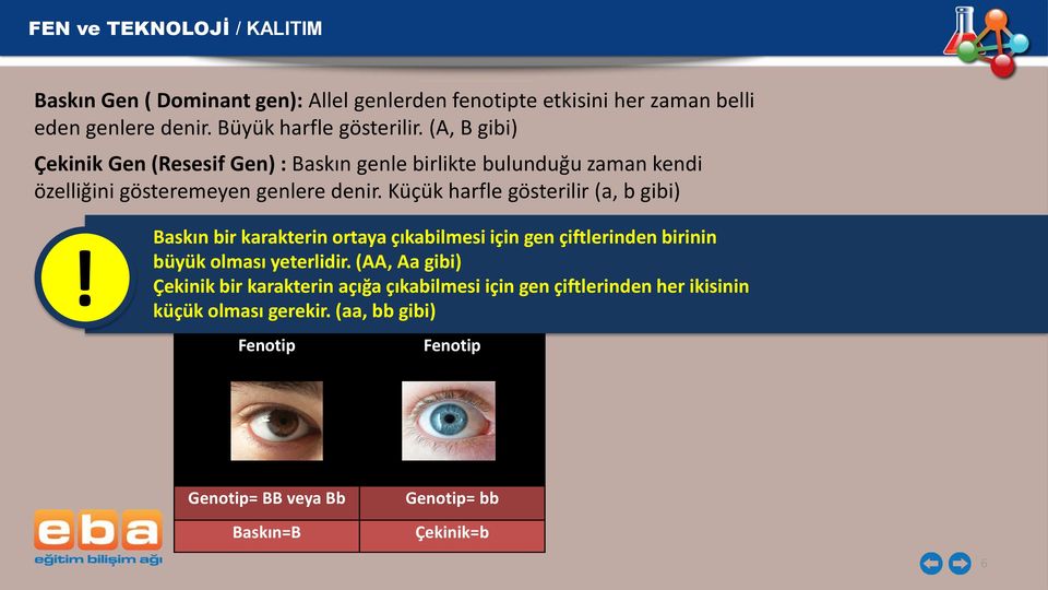 Küçük harfle gösterilir (a, b gibi)! Baskın bir karakterin ortaya çıkabilmesi için gen çiftlerinden birinin büyük olması yeterlidir.