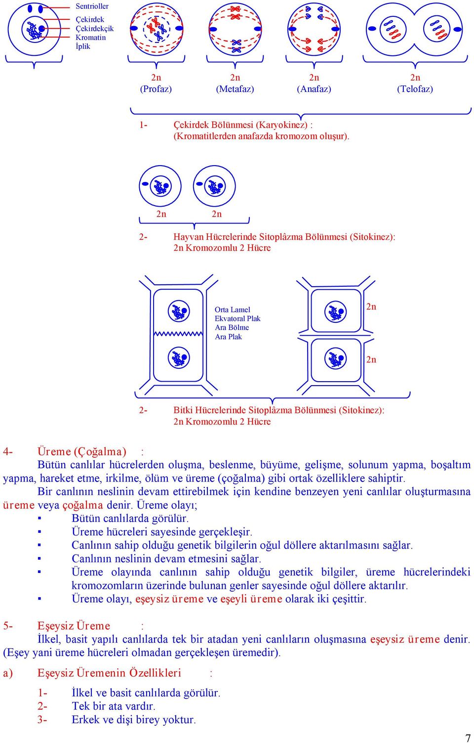 Üreme (Çoğalma) : Bütün canlılar hücrelerden oluşma, beslenme, büyüme, gelişme, solunum yapma, boşaltım yapma, hareket etme, irkilme, ölüm ve üreme (çoğalma) gibi ortak özelliklere sahiptir.