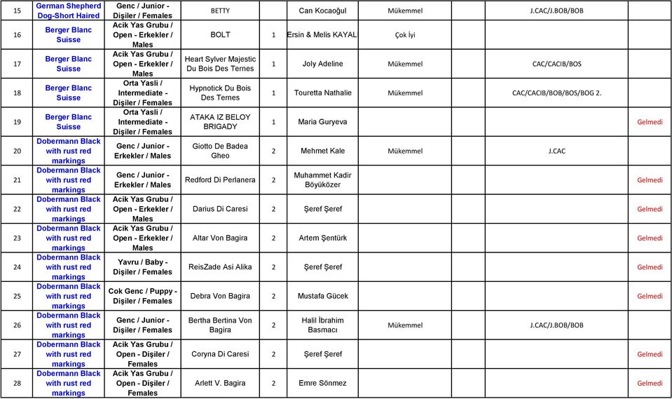 Mükemmel CAC/CACIB/BOS 1 Touretta Nathalie Mükemmel CAC/CACIB/BOB/BOS/BOG 2. 1 Maria Guryeva 2 Mehmet Kale Mükemmel J.