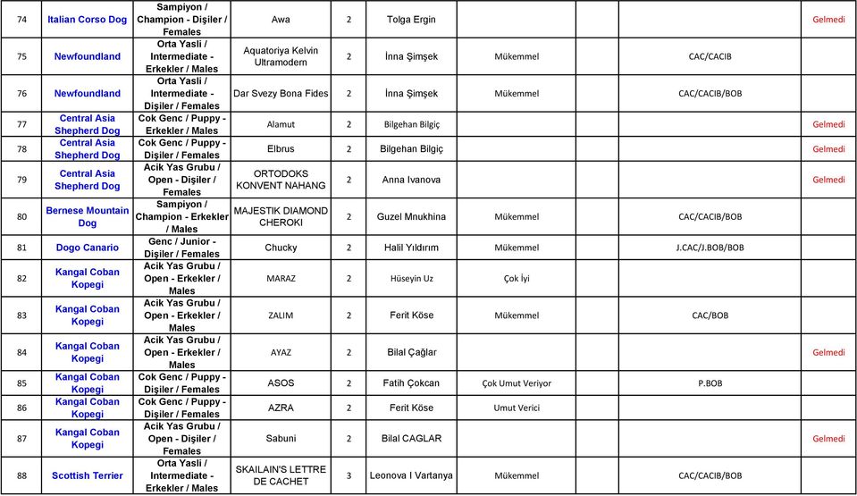 Svezy Bona Fides 2 İnna Şimşek Mükemmel CAC/CACIB/BOB Alamut 2 Bilgehan Bilgiç Elbrus 2 Bilgehan Bilgiç ORTODOKS KONVENT NAHANG MAJESTIK DIAMOND CHEROKI 2 Anna Ivanova 2 Guzel Mnukhina Mükemmel