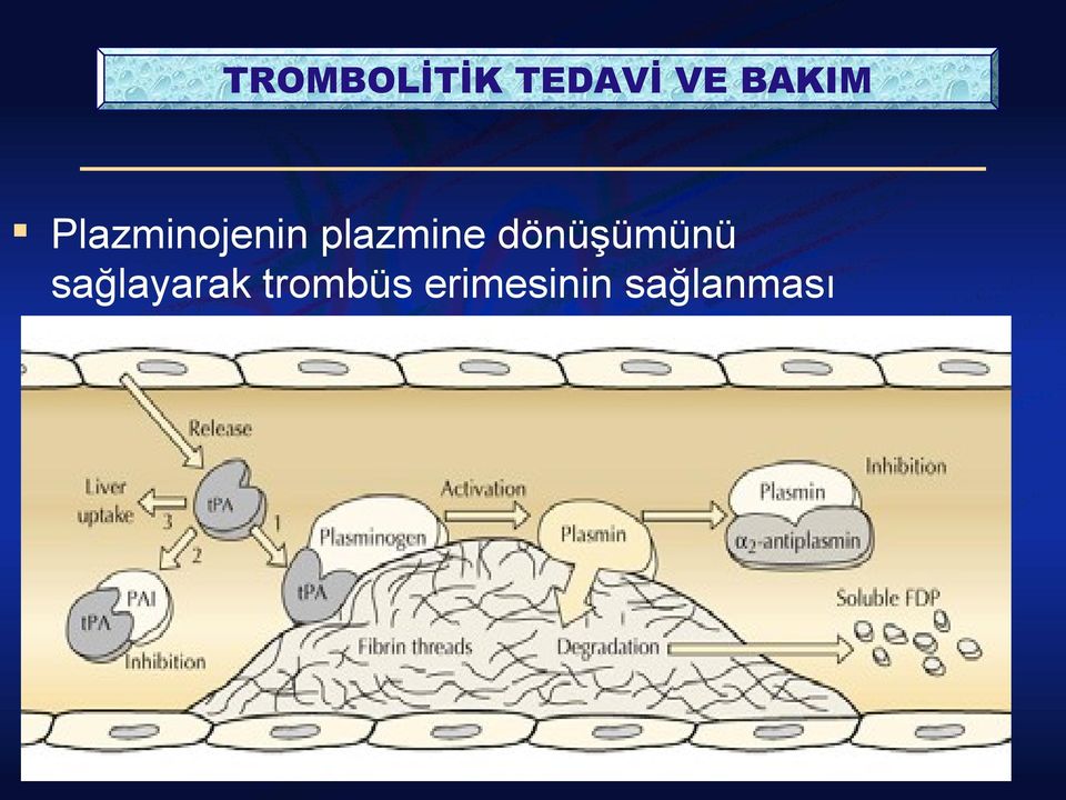 dönüşümünü