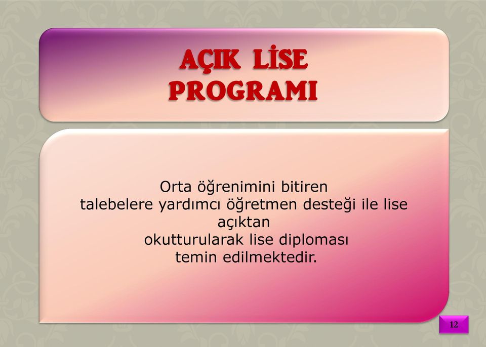 desteği ile lise açıktan