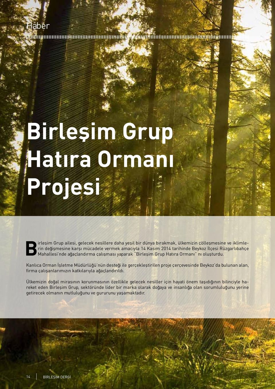 Kanlıca Orman İşletme Müdürlüğü nün desteği ile gerçekleştirilen proje çerçevesinde Beykoz da bulunan alan, firma çalışanlarımızın katkılarıyla ağaçlandırıldı.