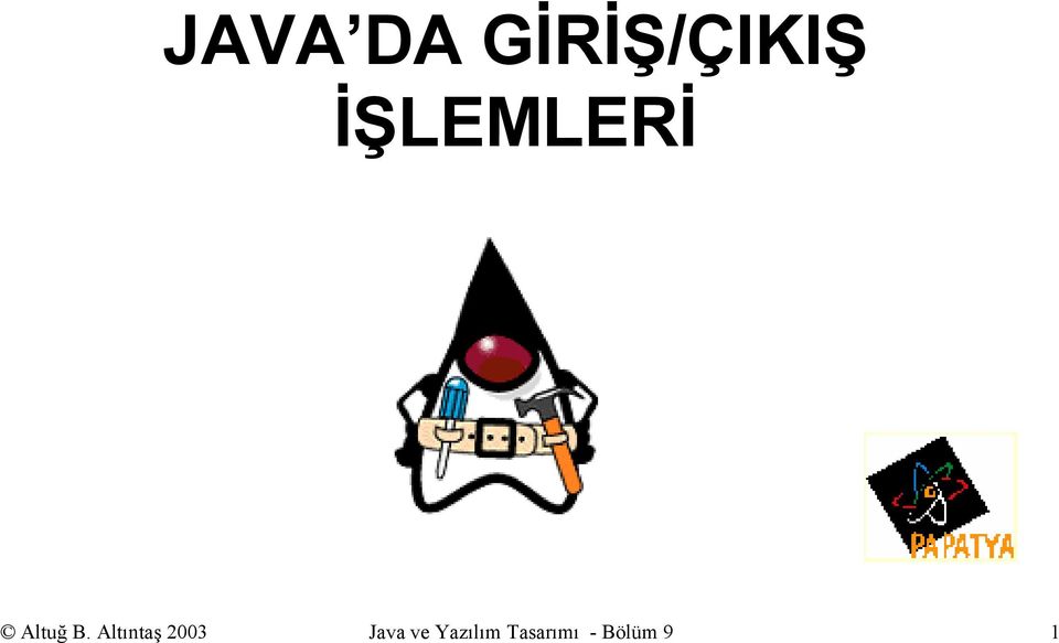 Altıntaş 2003 Java ve