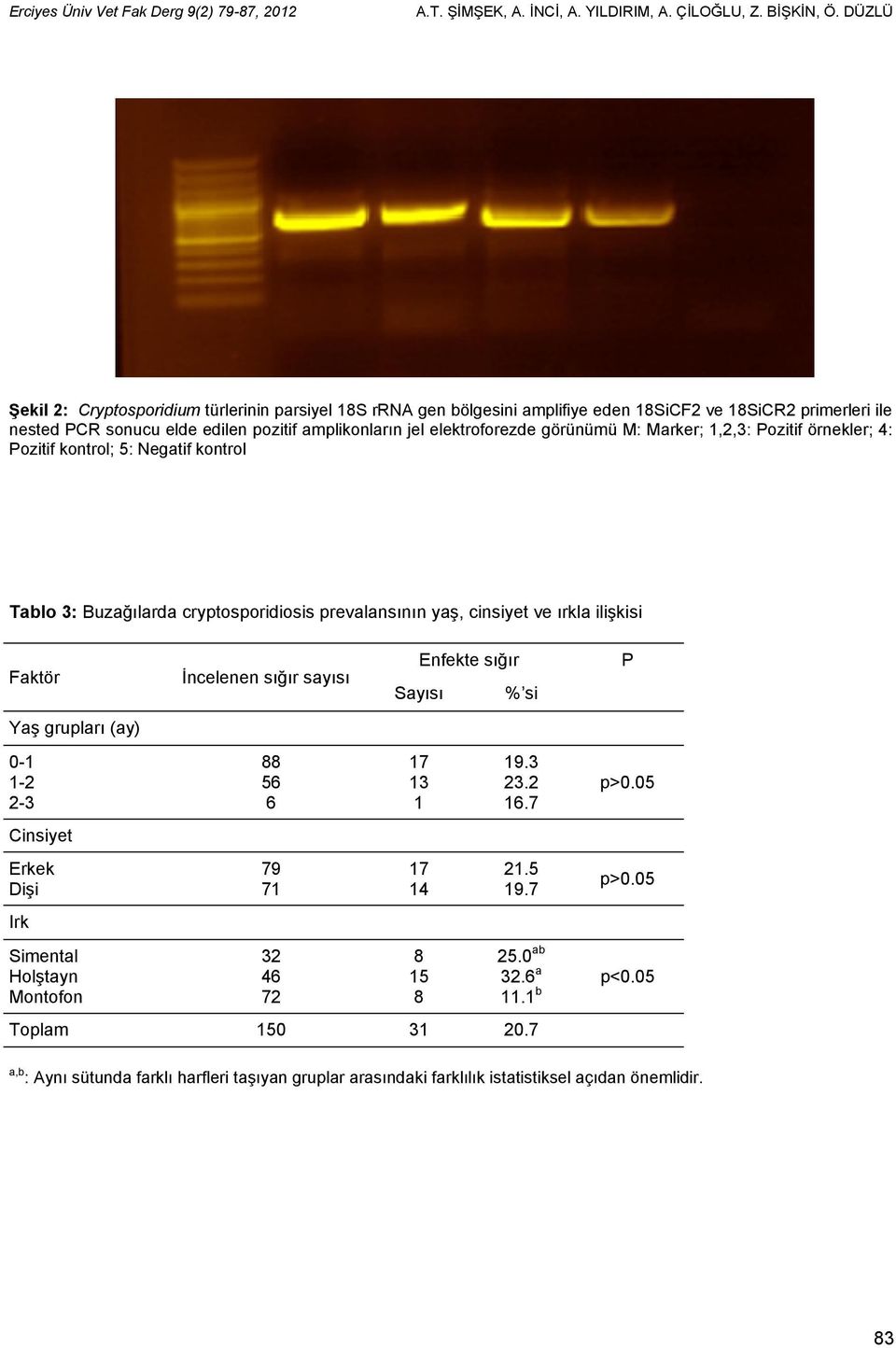 görünümü M: Marker; 1,2,3: Pozitif örnekler; 4: Pozitif kontrol; 5: Negatif kontrol Tablo 3: Buzağılarda cryptosporidiosis prevalansının yaş, cinsiyet ve ırkla ilişkisi Faktör Yaş grupları (ay) 0-1