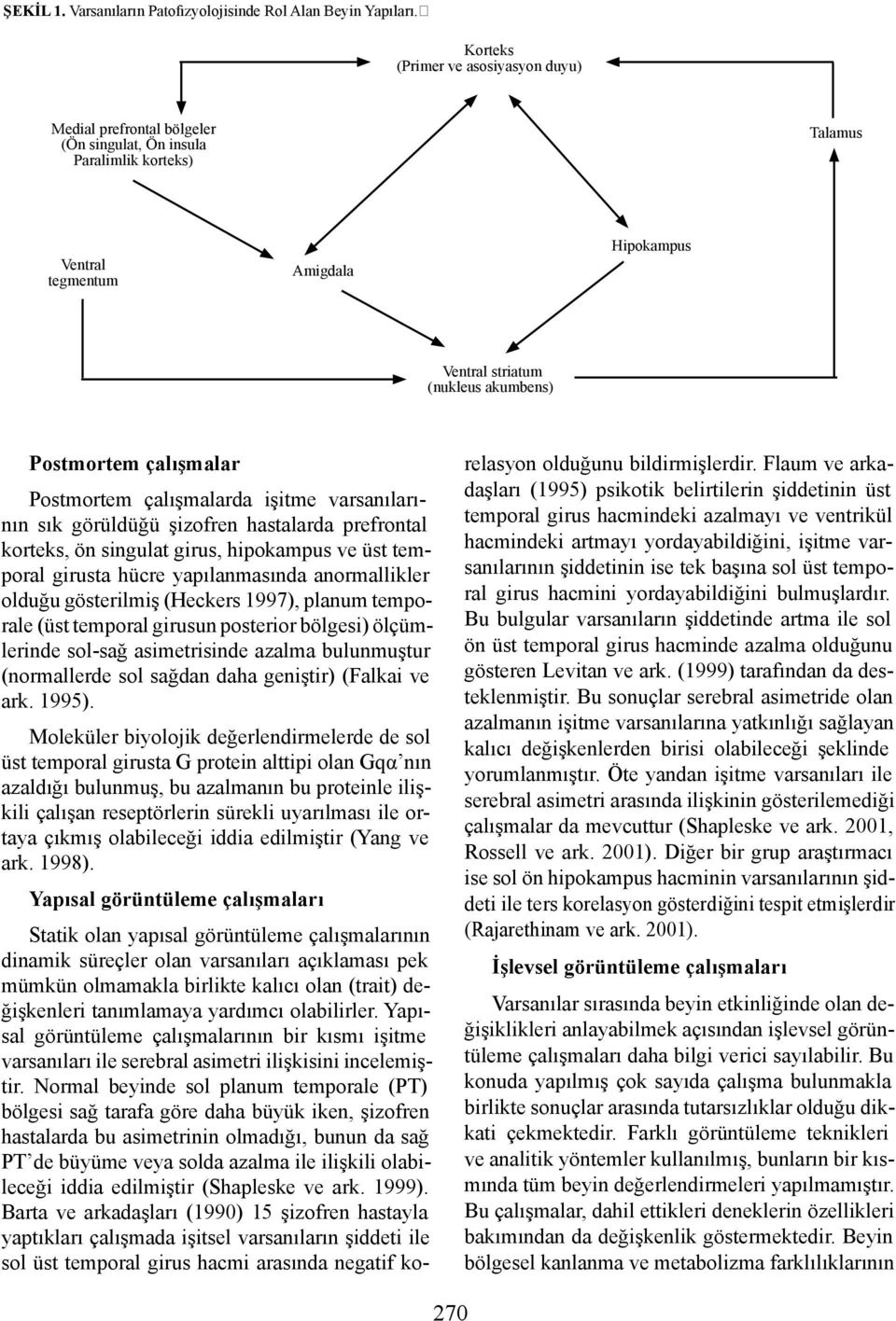 Postmortem çalışmalar Postmortem çalışmalarda işitme varsanılarının sık görüldüğü şizofren hastalarda prefrontal korteks, ön singulat girus, hipokampus ve üst temporal girusta hücre yapılanmasında