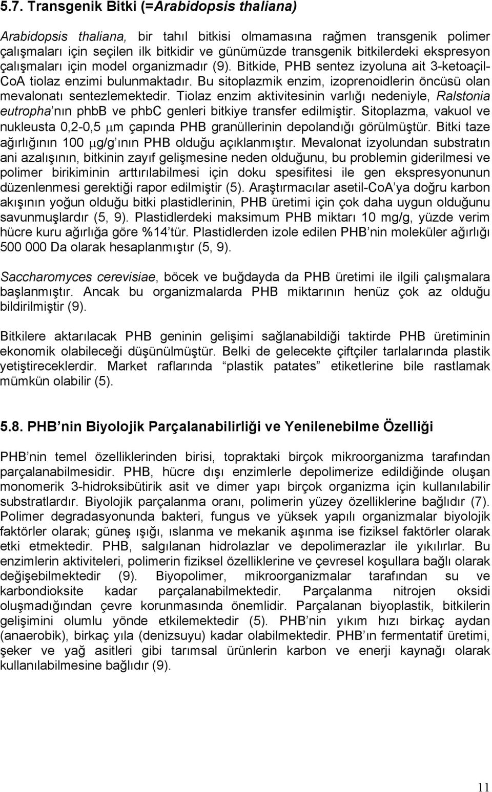 Bu sitoplazmik enzim, izoprenoidlerin öncüsü olan mevalonatı sentezlemektedir. Tiolaz enzim aktivitesinin varlığı nedeniyle, Ralstonia eutropha nın phbb ve phbc genleri bitkiye transfer edilmiştir.