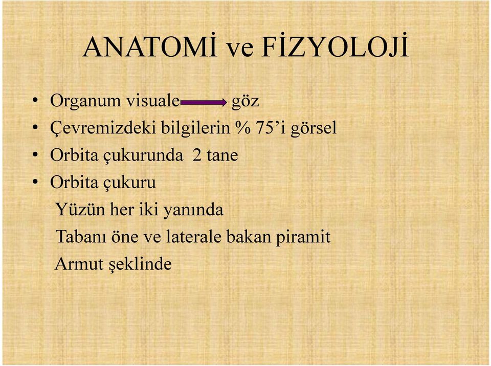 çukurunda 2 tane Orbita çukuru Yüzün her iki