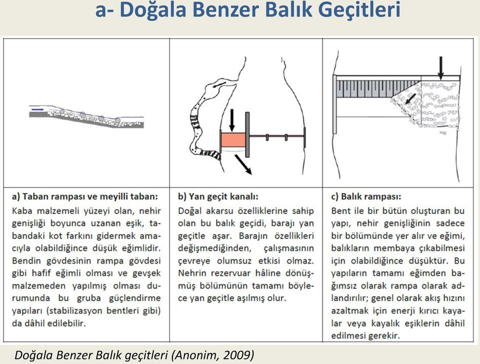 Doğala Benzer Balık