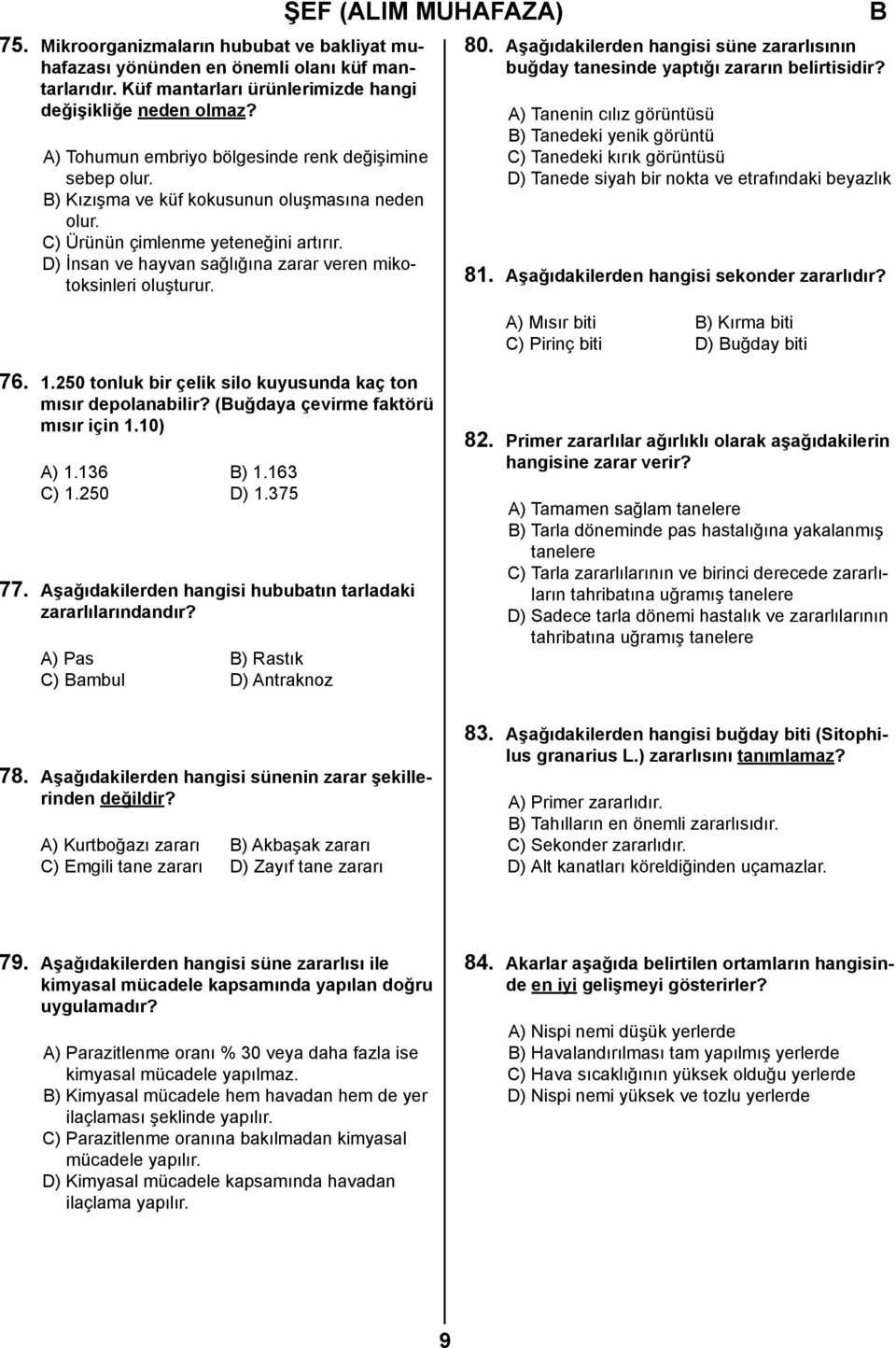 D) İnsan ve hayvan sağlığına zarar veren mikotoksinleri oluşturur. 80. Aşağıdakilerden hangisi süne zararlısının buğday tanesinde yaptığı zararın belirtisidir?