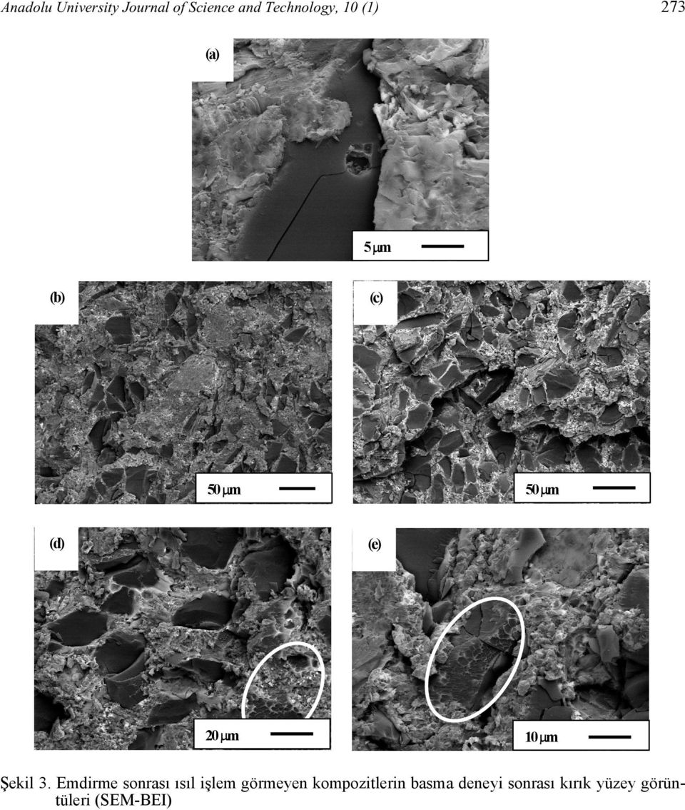 0 µm 10 µm Şekil 3.