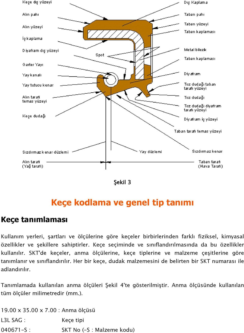 SKT'de keçeler, anma ölçülerine, keçe tiplerine ve malzeme çeşitlerine göre tanımlanır ve sınıflandırılır.