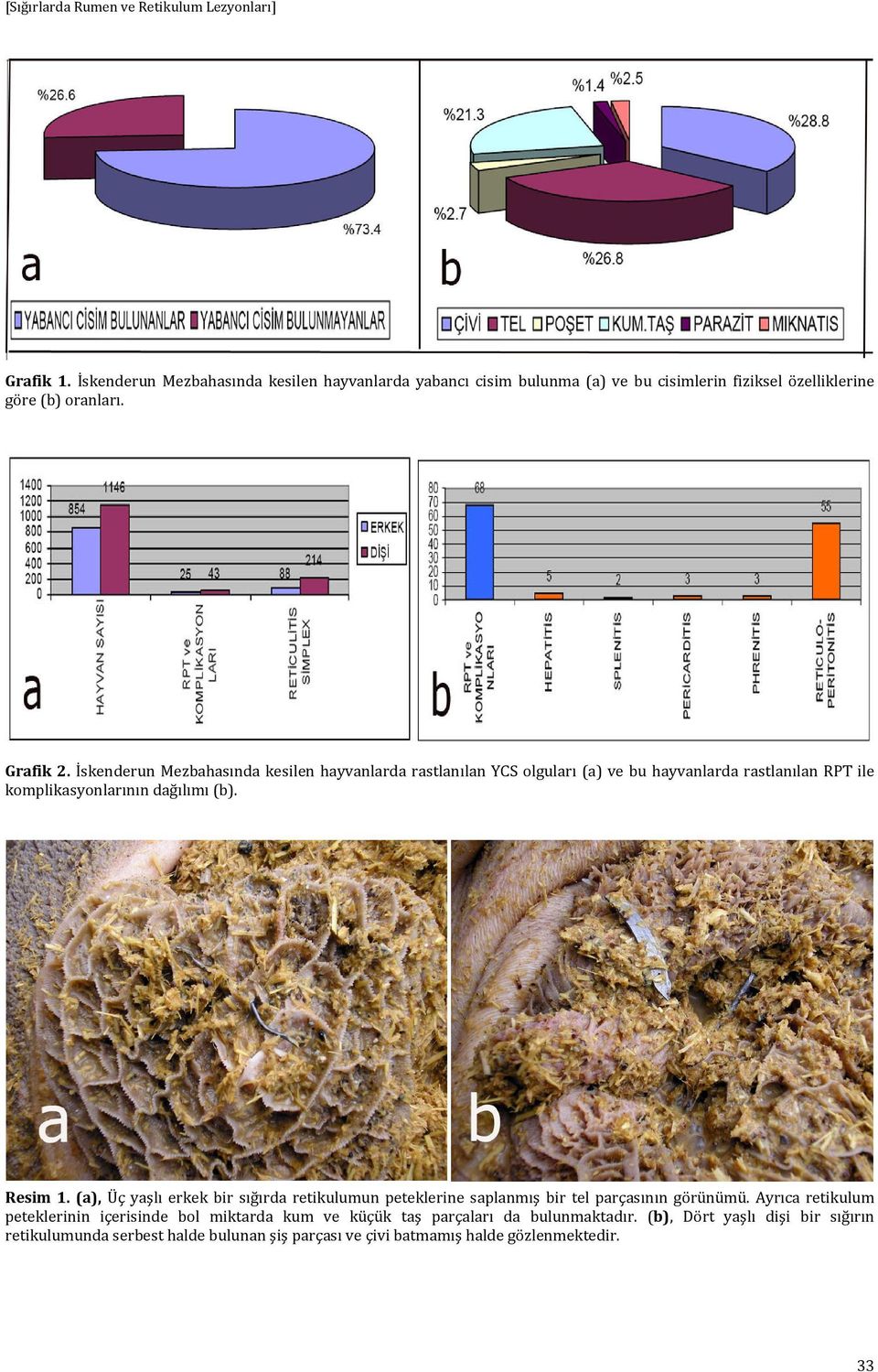 İskenderun Mezbahasında kesilen hayvanlarda rastlanılan YCS olguları (a) ve bu hayvanlarda rastlanılan RPT ile komplikasyonlarının dağılımı (b). Resim 1.