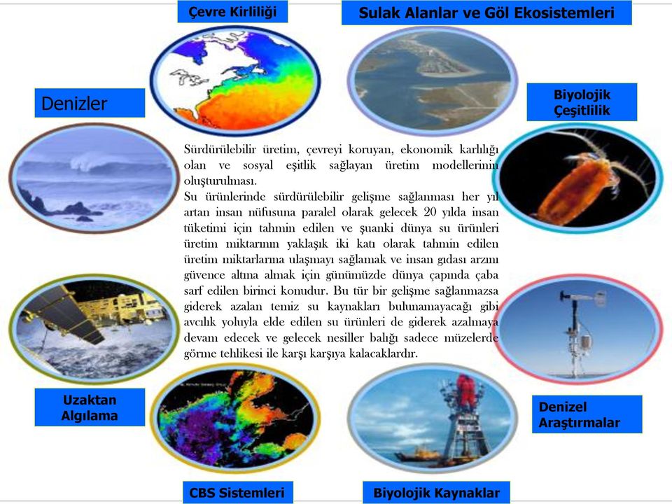 Su ürünlerinde sürdürülebilir gelişme sağlanması her yıl artan insan nüfusuna paralel olarak gelecek 20 yılda insan tüketimi için tahmin edilen ve şuanki dünya su ürünleri üretim miktarının yaklaşık