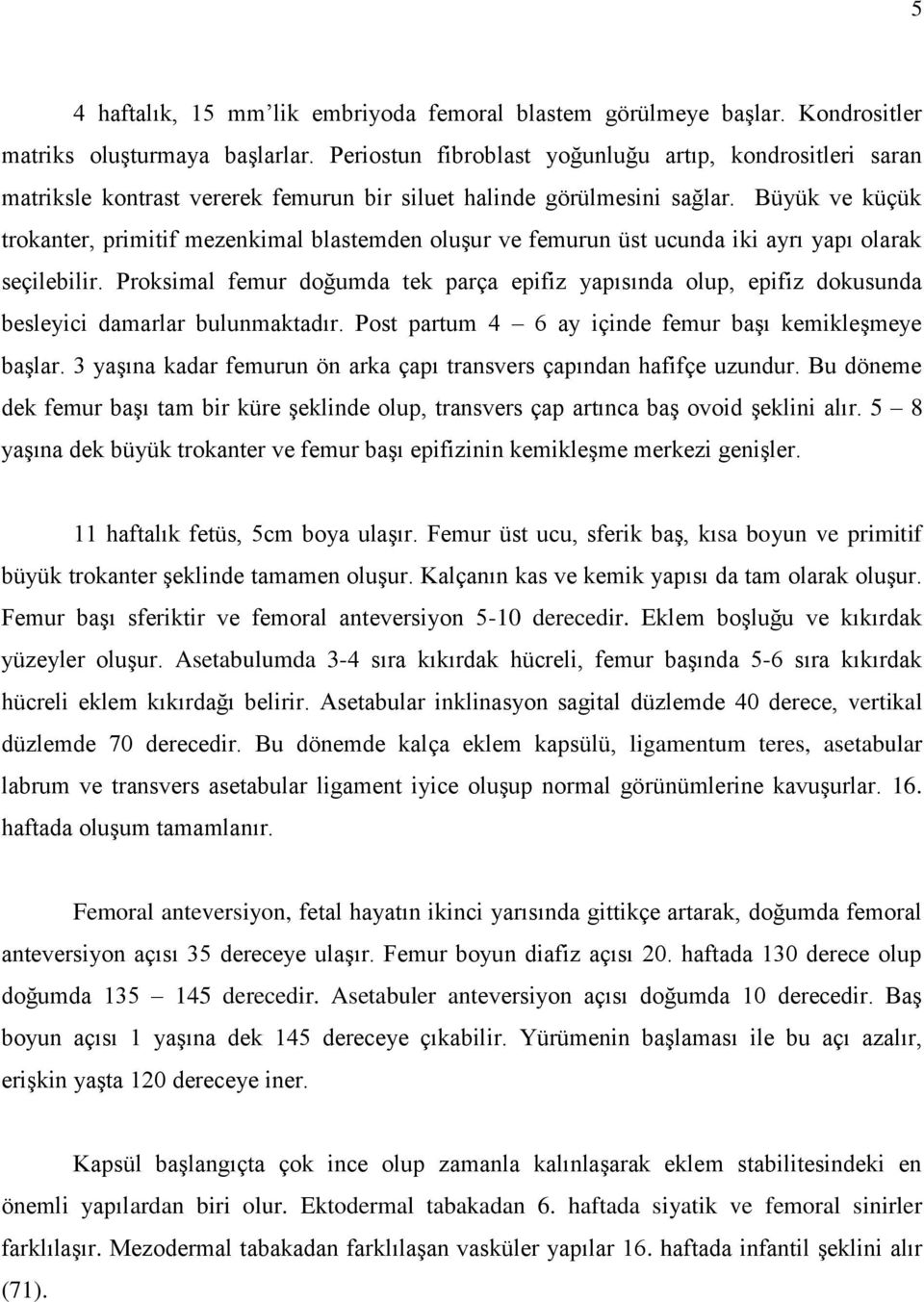 Büyük ve küçük trokanter, primitif mezenkimal blastemden oluģur ve femurun üst ucunda iki ayrı yapı olarak seçilebilir.