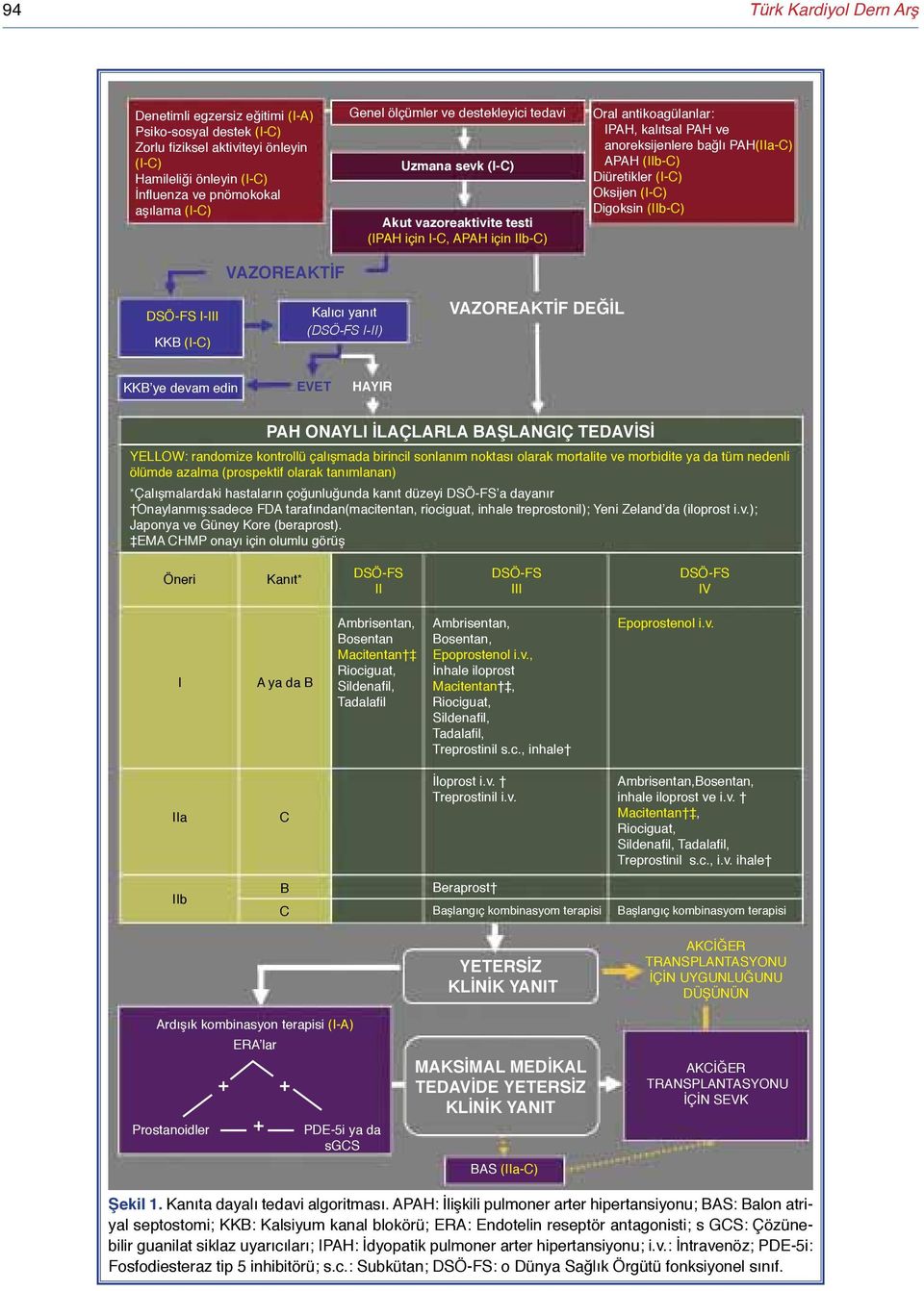 (IIb-C) Diüretikler (I-C) Oksijen (I-C) Digoksin (IIb-C) DSÖ-FS I-III KKB (I-C) Kalıcı yanıt (DSÖ-FS I-II) VAZOREAKTİF DEĞİL KKB ye devam edin EVET HAYIR PAH ONAYLI İLAÇLARLA BAŞLANGIÇ TEDAVİSİ