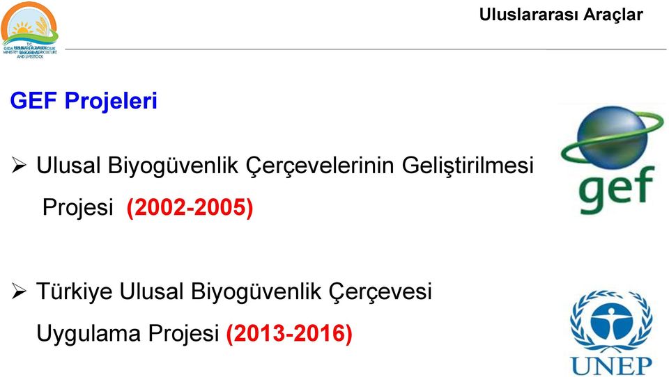 Projesi (2002-2005) Türkiye Ulusal