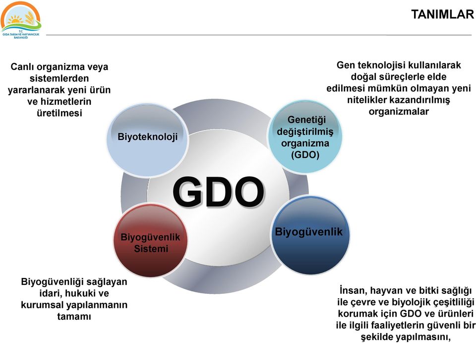 organizma (GDO) GDO Biyogüvenlik Sistemi Biyogüvenlik Biyogüvenliği sağlayan idari, hukuki ve kurumsal yapılanmanın tamamı İnsan,