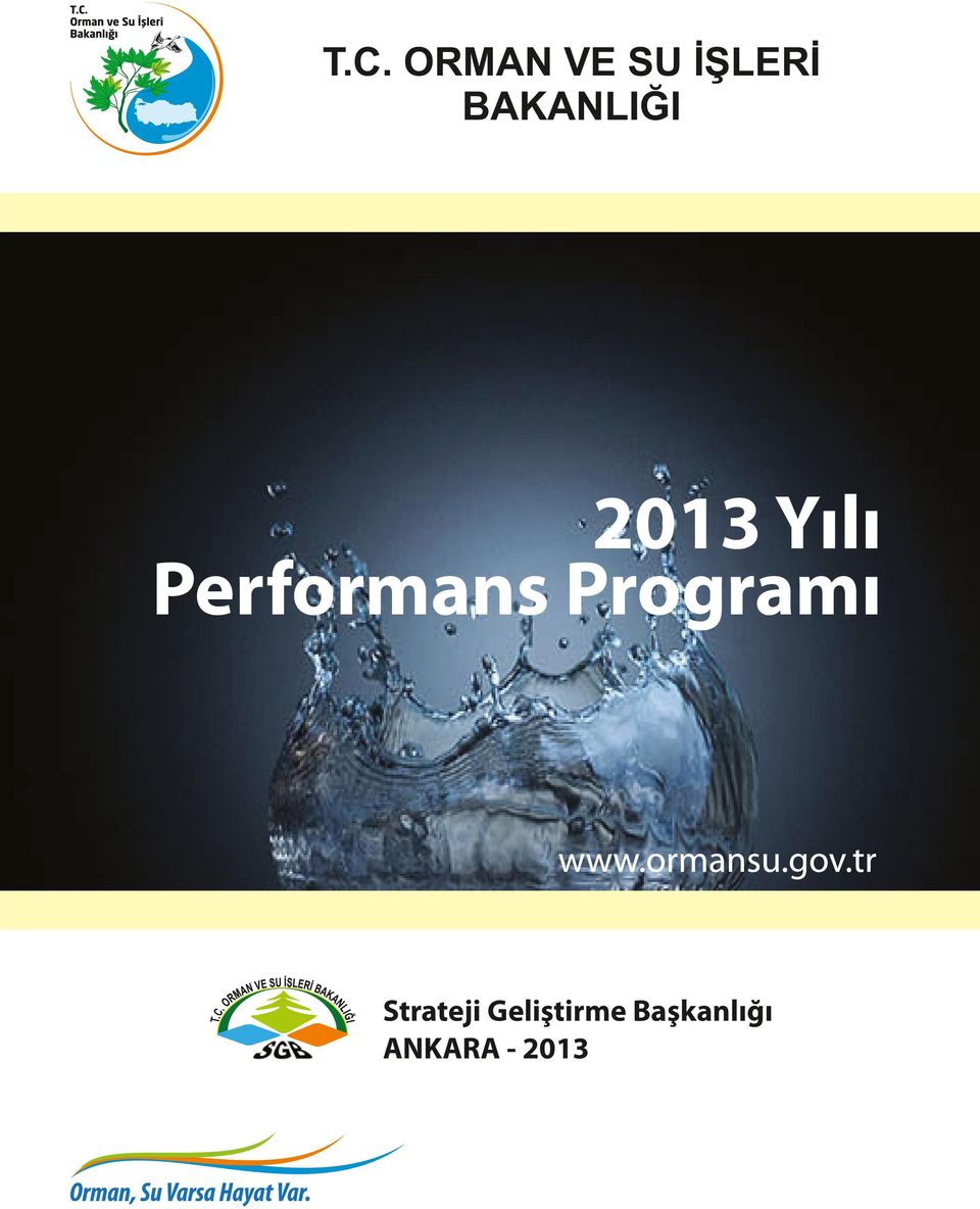 Performans Programı