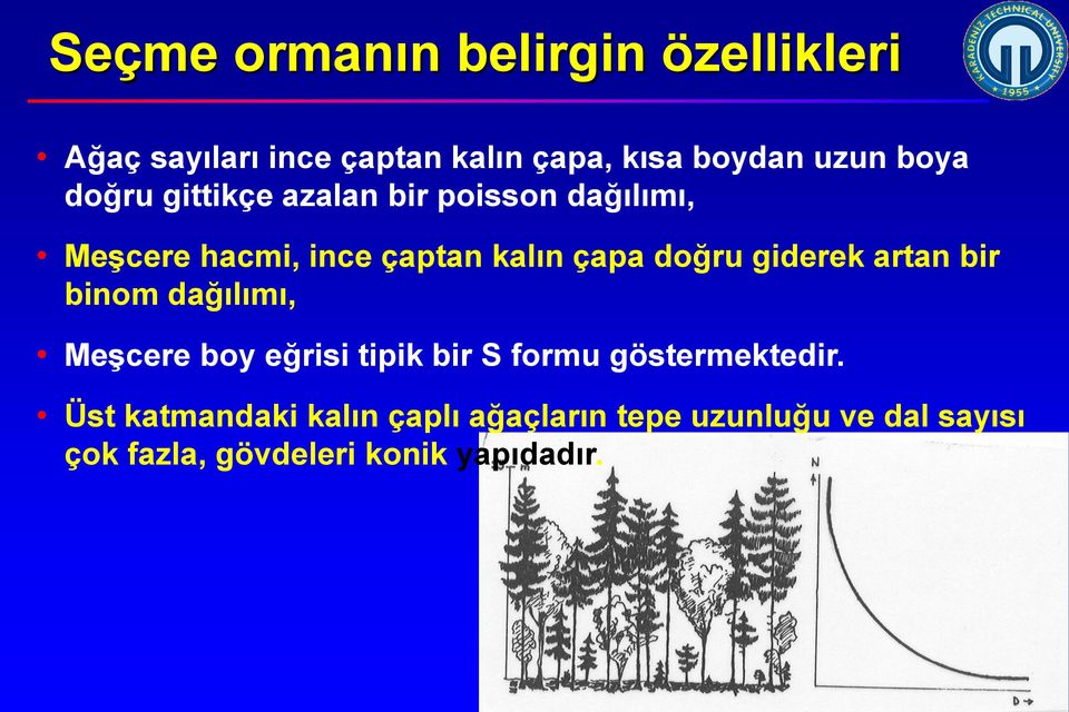 giderek artan bir binom dağılımı, Meşcere boy eğrisi tipik bir S formu göstermektedir.