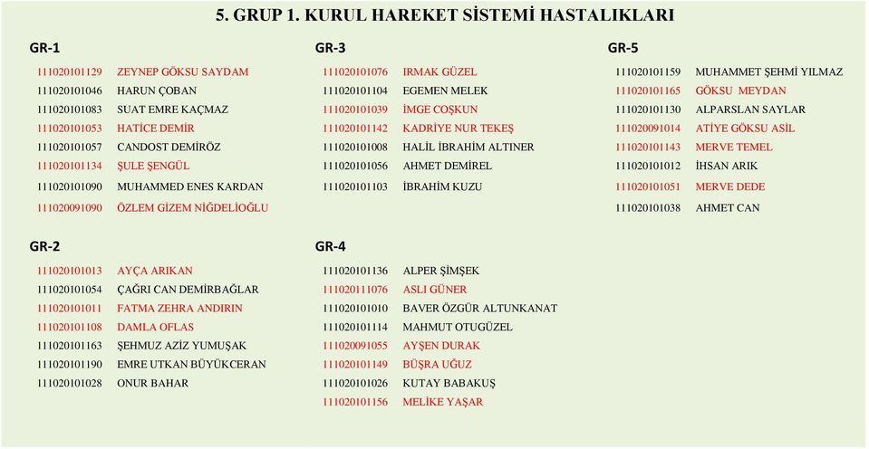 111020101165 GÖKSU MEYDAN 111020101083 SUAT EMRE KAÇMAZ 111020101039 İMGE COŞKUN 111020101130 ALPARSLAN SAYLAR 111020101053 HATİCE DEMİR 111020101142 111020091014 ATİYE GÖKSU ASİL 111020101057